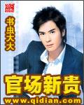 官场新贵虞凡TXT
