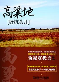 高粱地讲的什么
