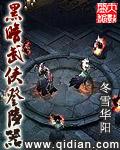 黑暗武侠登陆器全文阅读