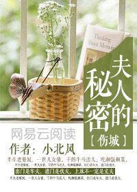 伤城秘密原唱