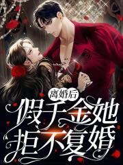 离婚后前夫求复婚96集