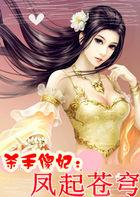 杀手弃妃免费阅读