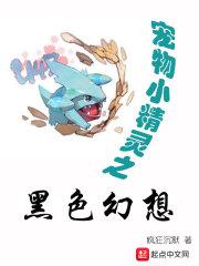 宠物小精灵之黑色幻想精灵