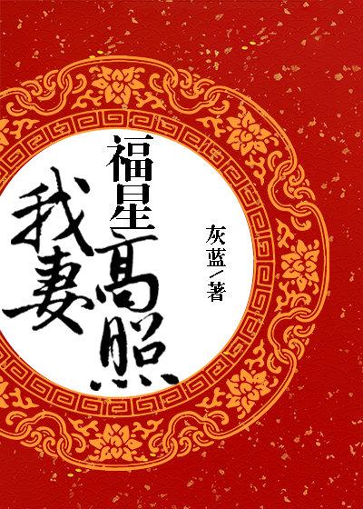 我妻福星高照txt