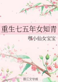 重生七五年女知青全文阅读
