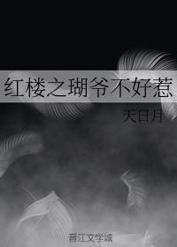 红楼之三爷不二无弹屏