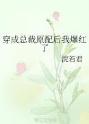 穿成总裁的初恋格格党