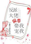 反派偏执大佬偏要娶我宠我