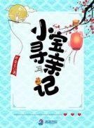 小宝寻亲记动漫