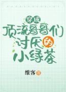 穿成顶流的心尖宠