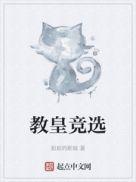 教皇选举法
