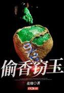 偷香窃玉全文阅读