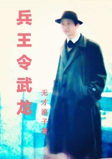 兵王羽龙完整版