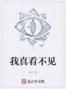 我真的看不见bug