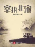 宰执天下新宋