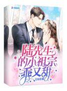 陆先生的小祖宗乖又甜完整版