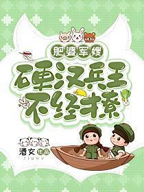 肥婆军嫂硬汉兵王不经撩全文最新章节