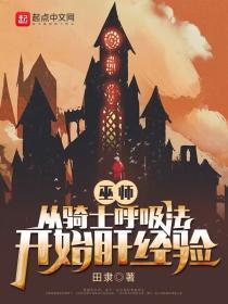 巫师三骑士