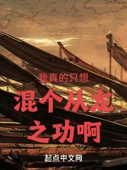 我真的只想混个从龙之功啊无防盗