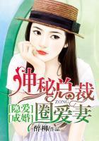 隐婚密爱总裁欺人太甚全文免费阅读