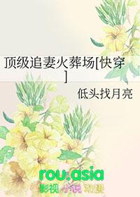 顶级追妻火葬场快穿低头找月亮