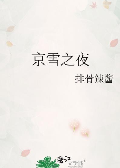 京雪之夜纪荷陆寻之