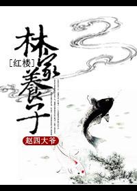 红楼林家养子是义忠亲王的儿子