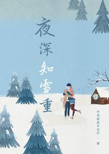 夜深知雪重卢西
