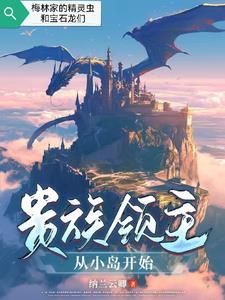 贵族领主从小岛开始中的地图