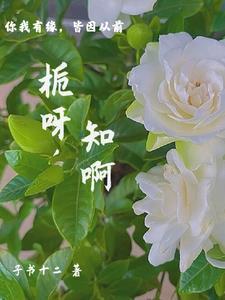 栀是什么意思啊
