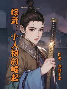 综武侠 小恶人