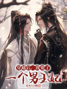 穿越后我娶了一个男王妃txt