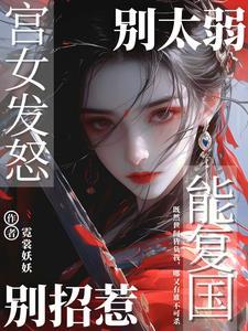宫女发怒能复国txt