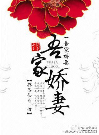 吾家妻贵免费阅读