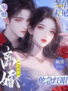 了军婚