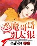 恶魔哥哥别太狠类似