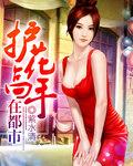 护花高手在都市全本