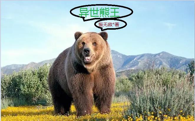 熊熊勇闯异世界esj