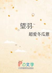 望羽牌中老年女夏天服装