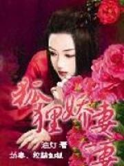 狐狸娇妻全本免费阅读