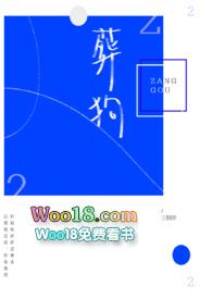 三侗岸的哪个好看