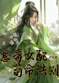 恶毒女配是啥意思