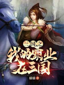三国之霸业txt