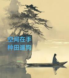 山村空间异能赌石