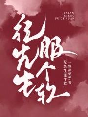主角叫纪先生的