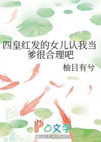海贼王里面四皇