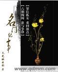 名门纪事天光