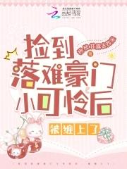 捡到豪门走丢小少爷