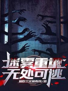 迷雾重重下一部