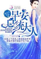 总统大人!txt电子书